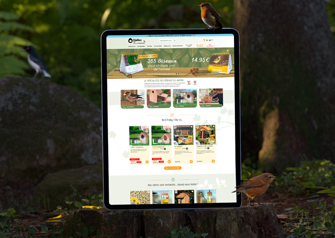 Ecran de tablette, en forêt, montrant la page d'Oisillon